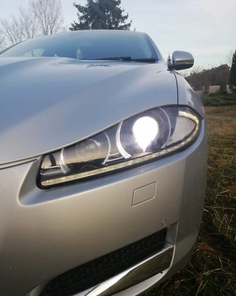 Jaguar XF cena 27900 przebieg: 220000, rok produkcji 2012 z Gubin małe 596